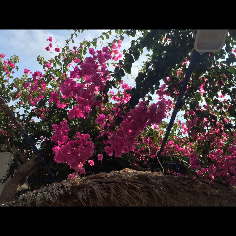 Meet your Posher, A S